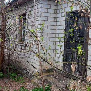 Приватизований будинок в Плескачівці