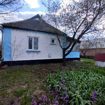 Будинок в с.Парипси