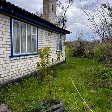 Будинок  Черкаська область с.Домантове