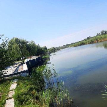 Земельна ділянка з будинком