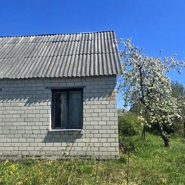 Дача під розбудову в Новій Українці !