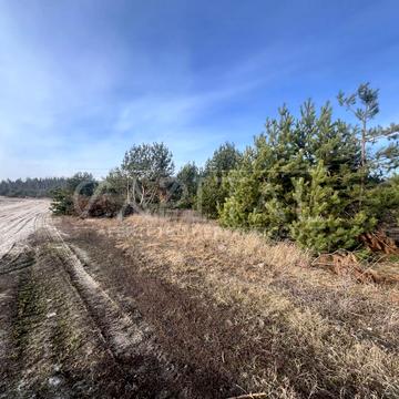 Дзвінкове, Фастівський, Київська область 80000.0 USD