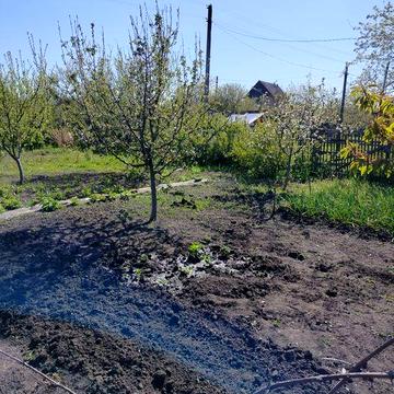 Продам дачу в обещстве "Родник "
