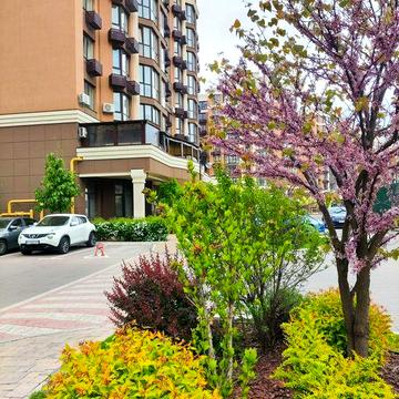 Однокімнатна квартира в Sofia Residence! Продаж 1к 40,1 м.кв. без %. ЖК Sofia Residence