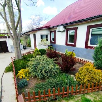 Продам будинок з мальовничим видом  Діївка