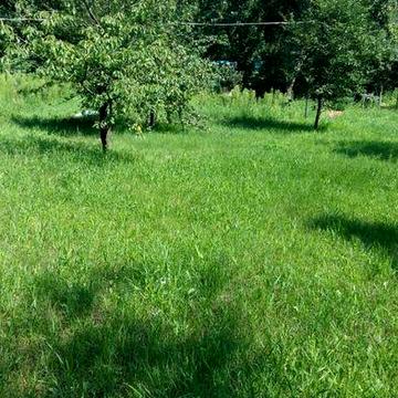 Оренда дачі ( напрямок Літки, Бровари)