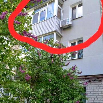 Квартира 2-ох кімнатна