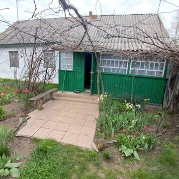 Дачний будинок з ділянкою землі 84 км от Києва