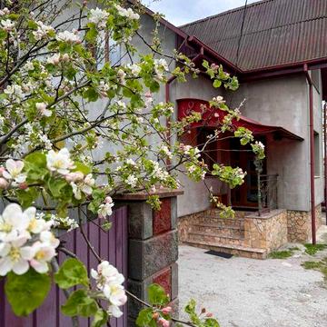 Будинок в Кременці