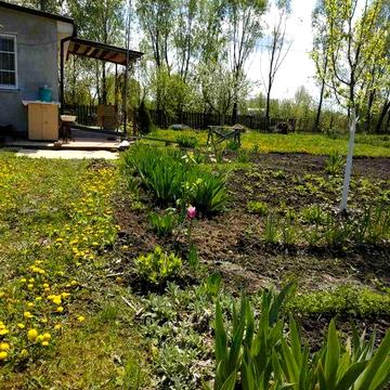 Продаю  свою дачу в Броварському р-ні з усіма зручностями