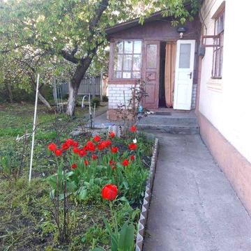 Дуже затишний дім у Кодимі