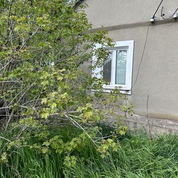 Продам будинок Трикратне