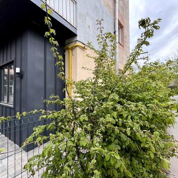 Терміново! Продаж 2 кімнатної квартири по вул Городоцька (р-н Сяйво)