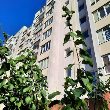 Виноградарь оренда 1 кімнатна к-ра, вул. Гамаліївська