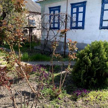 Продам очень бюджетный Дом в Приднепровск-Чапли. Сертификат!