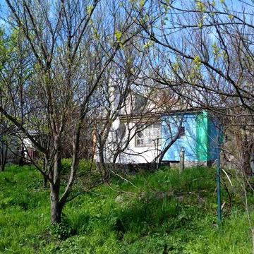 Будинок м. Сміла хата г. Смела дом сад с беседкой приусадебный участок и огород