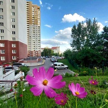 Оренда 1 кімнатної квартири