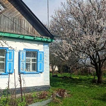 Продається будинок у с. Вознесенське на вул. Шевченка