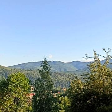 Любомира Гузара вул. (Пушкіна)