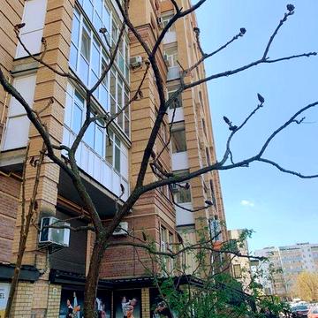 Квартира в Ірпені. Центр! Площа фонтанів!