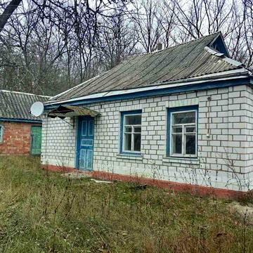 Продам будинок с земельною ділянкою в с. Хутір Хмільна Канівського району