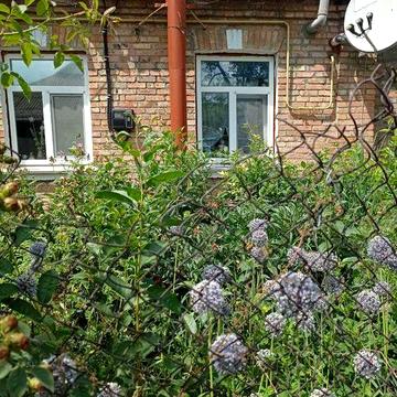 Терміновий продаж 2 кімнатної квартири зі своїм участком землі( радгосп), ціну знижено.