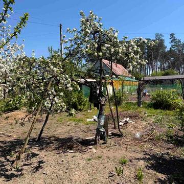 Продам будинок в шикарному місці