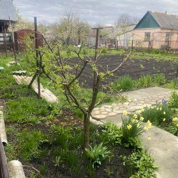 Продам газ. будинок на Авіловці з меблями та технікою