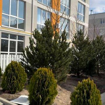 Терміновий продаж 1 кімнатної квартири ЖК Sanville park