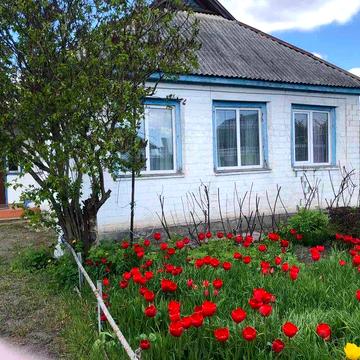 Продається будинок (90 кв. м) у с. Хацьки, Черкаський р-н.