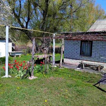 Продам дом в Солоницевке (169223)