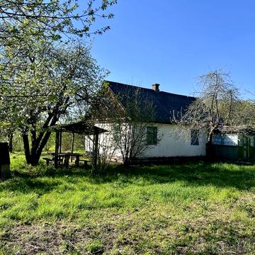 Будинок в лісі, дача, земельна ділянка