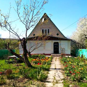 Будинок з великою ділянкою біля лісу