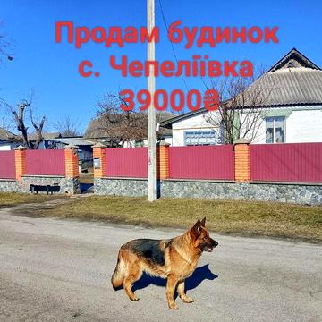 Продам будинок. С. Чепеліївка. Білоцерківський район. Від власника.