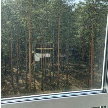 Квартира з новим ремонтом з панорамним видом на сосни в Ірпені