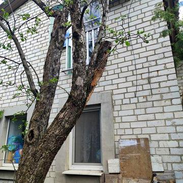 Сдам большой ДОМ на холодной горе в долгосрочную аренду ТОЛЬКО порядочной семье