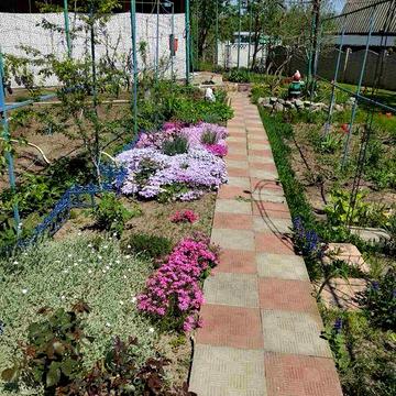 Дача Гайдари, СТ Гідравліка, чарівне місце поряд з річкою та понад лісом