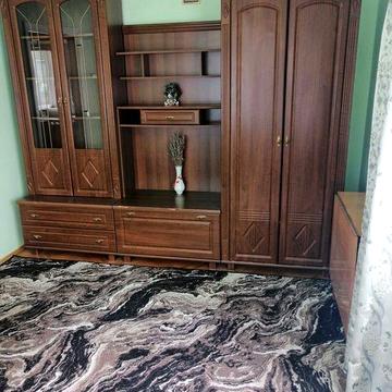 Оренда 2-х кімнатої квартири в центрі міста по Мазепи.