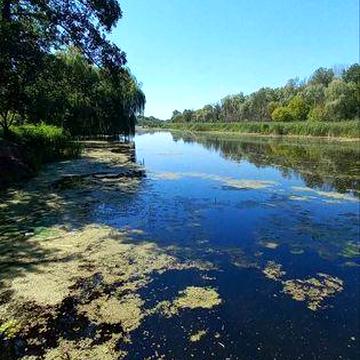 Дача в еко-районі, біля р.Вільшанки