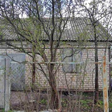 Сдам Дачу Межиріч