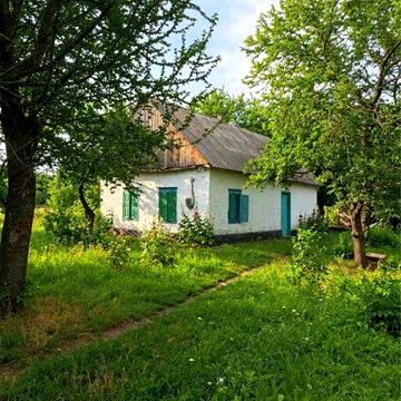 Дом! Продам дом Елизаветовка.