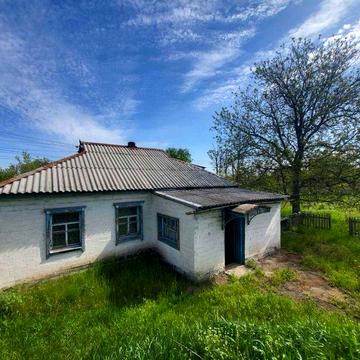 Продам дом в центре Елизаветовки рядом с лесом
