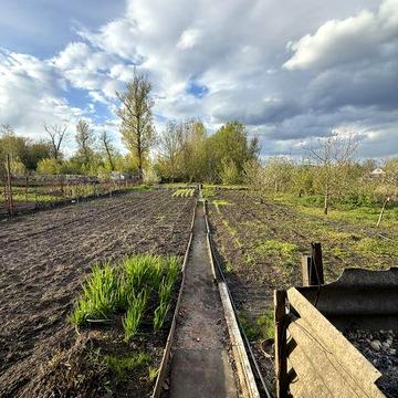 Продам будинок Лелеківка