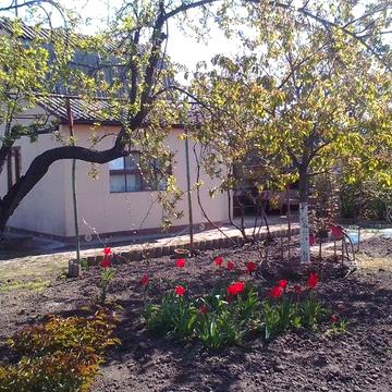 Днепр.Небольшой домик за Караваном с условиями.