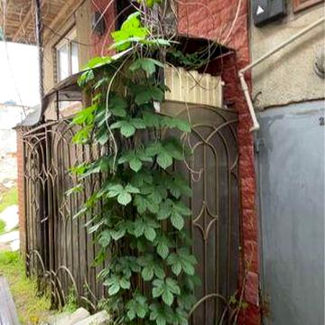 Продам курень,3 линия от моря,Черноморск