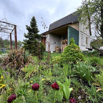 Продаж дачного будинку біля річки