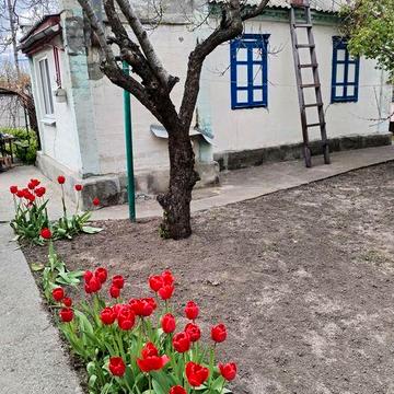 Продам Дом Приднепровск -чапли