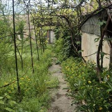 Пропоную дім з земельною ділянкою