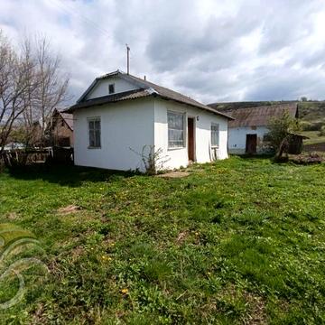Будинок в селі Палагичі і 25 сот землі