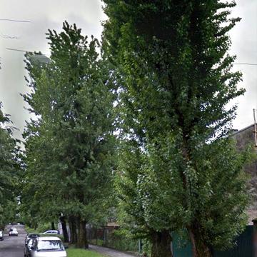 Оренда квартири в Галицькому районі